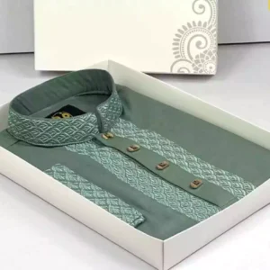 Exclusive tenchil cotton panjabi